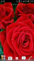 Best rose wallpapers स्क्रीनशॉट 1