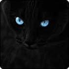 4K Dark Wallpaper আইকন