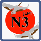 N3 Kanji Japanese icon