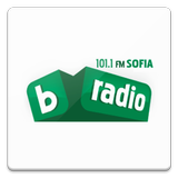 bTV Radio icône