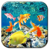 3D Fish Live Wallpaper icône