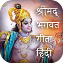 Bhagvad Gita  in Hindi APK