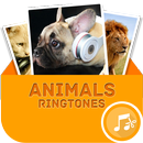 Animals Ringtones APK