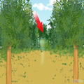 How to Build a Bird Bath