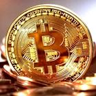 Bitcoin Faucet VIP icon