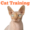 Easy Cat Training APK