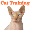 Easy Cat Training
