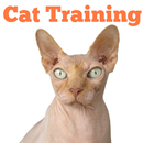 Easy Cat Training APK