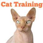 Easy Cat Training ikon