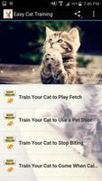 Easy Cat Training poster