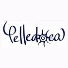 Pelledoca App أيقونة