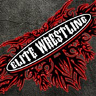 Elite Wrestling NJ icône