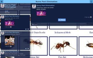 Burns Pest Elimination اسکرین شاٹ 3