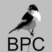 Bird Photography Courses