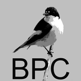 Icona Bird Photography Courses