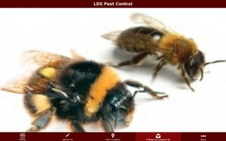 LDS Pest Control Plakat