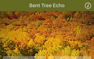 Bent Tree Echo ảnh chụp màn hình 2