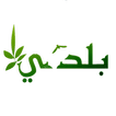 بلدي مجد الكروم