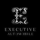 Executive Automobile-icoon