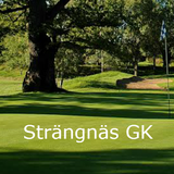 Strängnäs Golfklubb আইকন