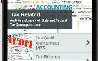 Billburg Accounting Services screenshot 2