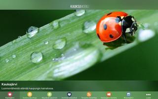 Kauksumobiili screenshot 2