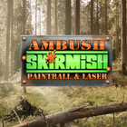 Ambush Paintball icône