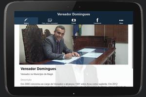 VEREADOR DOMINGUES الملصق