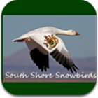 Snowbirds icon