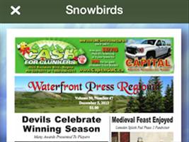 Snowbirds Affiche