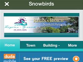 Snowbirds screenshot 1