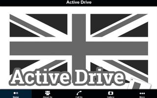 Active Drive Driver School screenshot 2