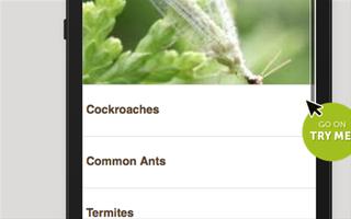 Eco Pest Management Pte Ltd imagem de tela 2