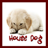 HOUSE DOG-icoon
