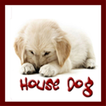 ”HOUSE DOG