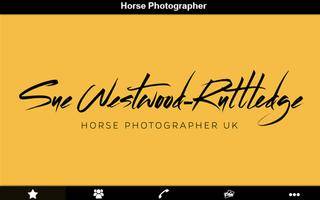 Horse Photographer Plakat