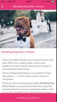 Wedding Dog Sitter screenshot 2