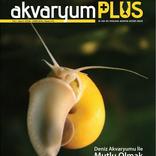 Akvaryum Plus 2