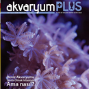 Akvaryum Plus 3 APK