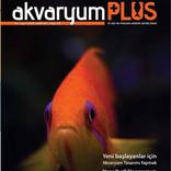 Akvaryum Plus 4
