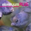 Akvaryum Plus 7 APK