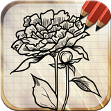 Draw Tattoo Flowers icon