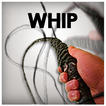 Whip 3D