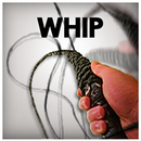 Whip 3D APK