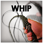 Whip 3D icône