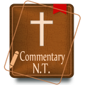 Bible Commentary
