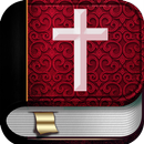 Czech Bible APK