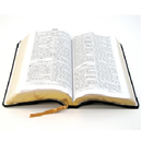 Biblia Online Gratis RV1960 APK