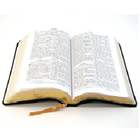 Biblia Online Gratis RV1960 icône