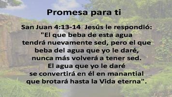 Promesas Biblicas Cristianas ポスター